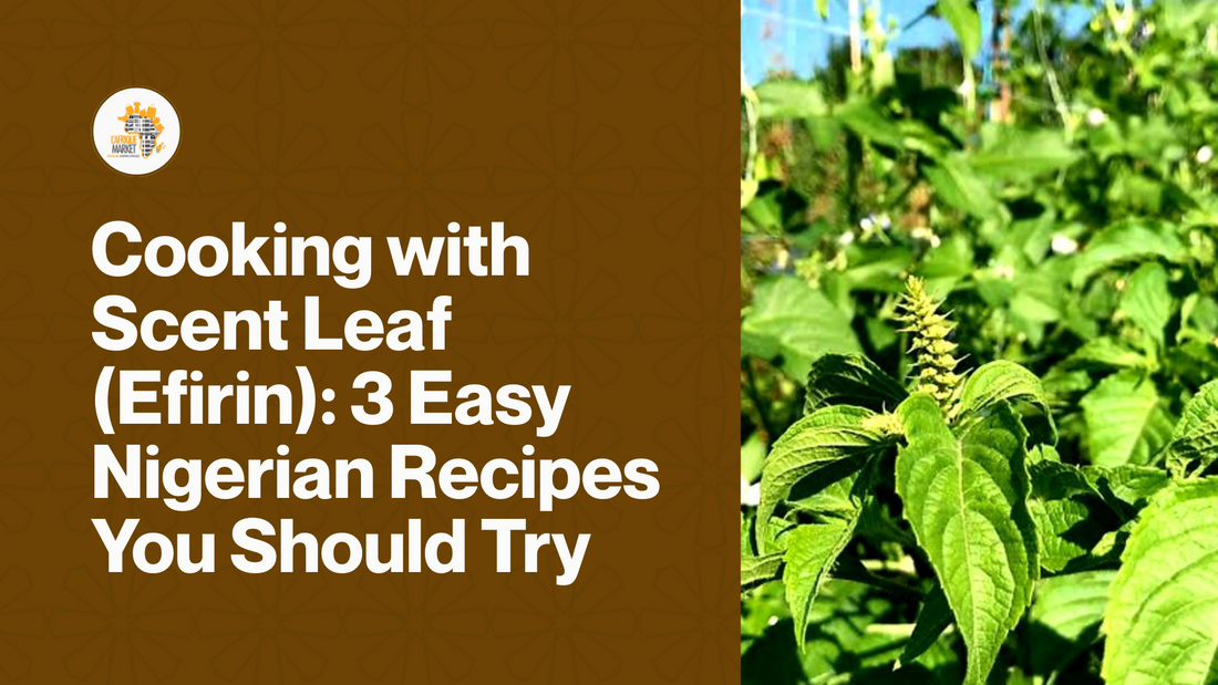 Cooking with Scent Leaf (Efirin): 3 Easy Nigerian Recipes You Should Try