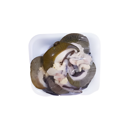 Tasty Food Jumbo Snail 1lbs
