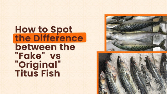 How to Spot the Difference between the "Fake" vs "Original" Titus Fish