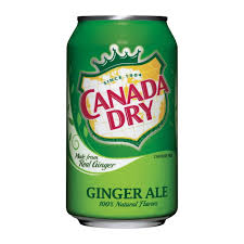 Canada Dry Ginger Ale 12oz Can