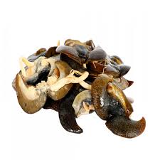 Dahzah Frozen Snail 1.1lb