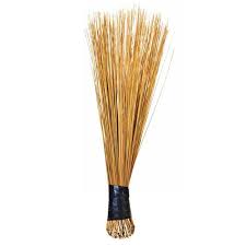 African Broom